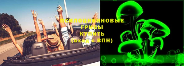 mix Богородицк
